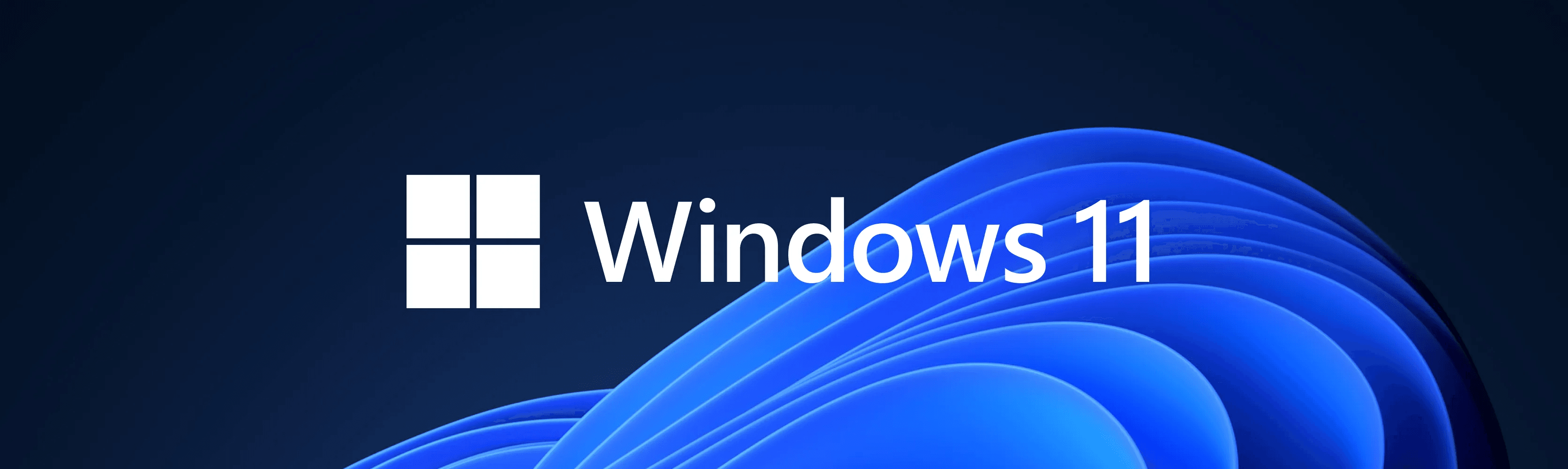 Microsoft Windows 11 logo