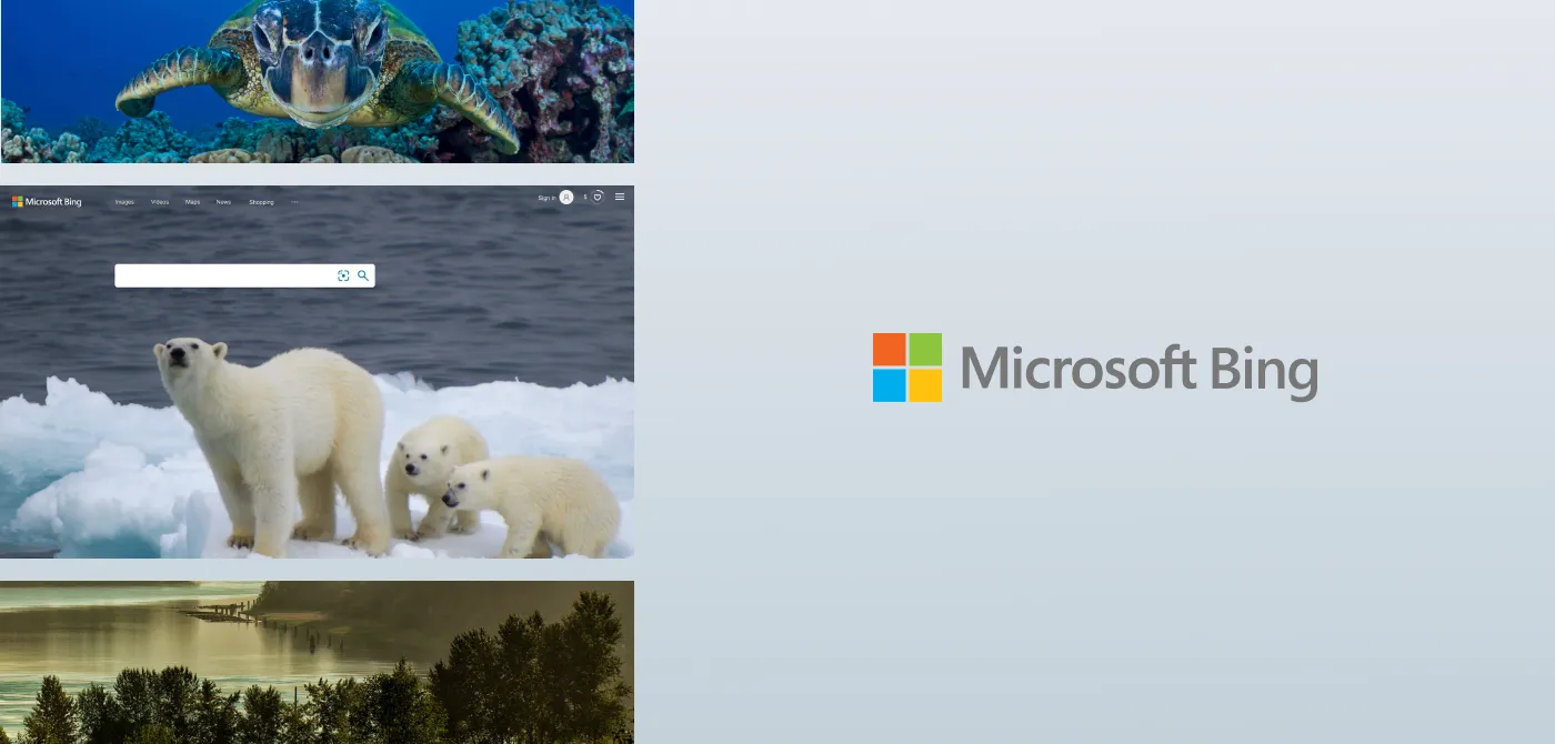 An image showing the Microsoft Bing logo on the right with a collage of three nature-themed images on the left. The top image features a sea turtle underwater. The middle image shows polar bears on ice. The bottom image is of a serene lake surrounded by trees.