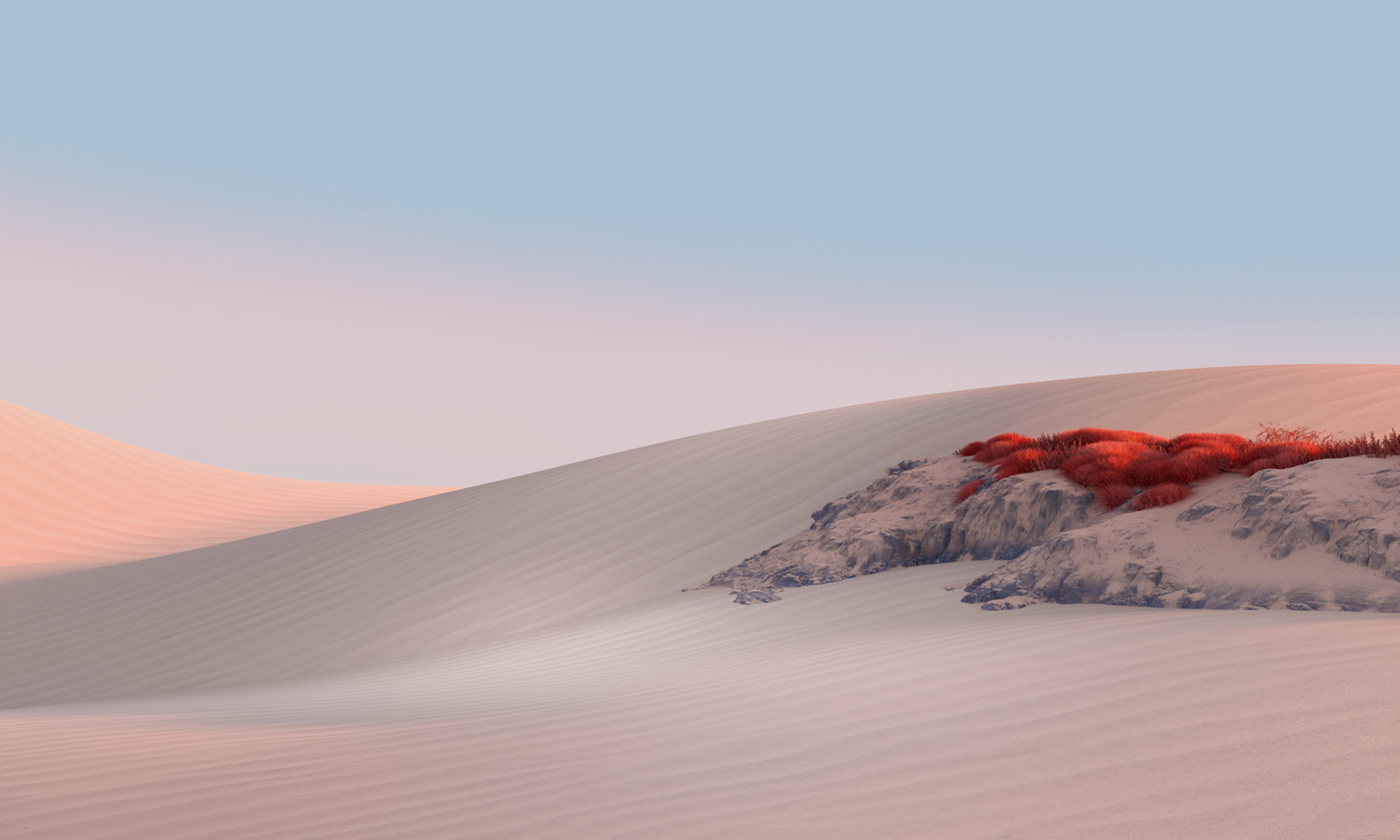 A serene desert landscape with rolling sand dunes under a clear blue sky. The dunes are adorned with a patch of red vegetation atop a small rocky outcrop, adding a splash of color to the otherwise monochromatic scene. The soft lighting creates gentle shadows.