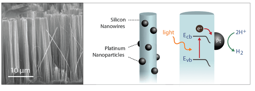 The image consists of two parts. The left side shows a microscopic image of vertically aligned silicon nanowires. The right side is an illustration showing silicon nanowires with platinum nanoparticles and depicting electron movement and hydrogen production via light.