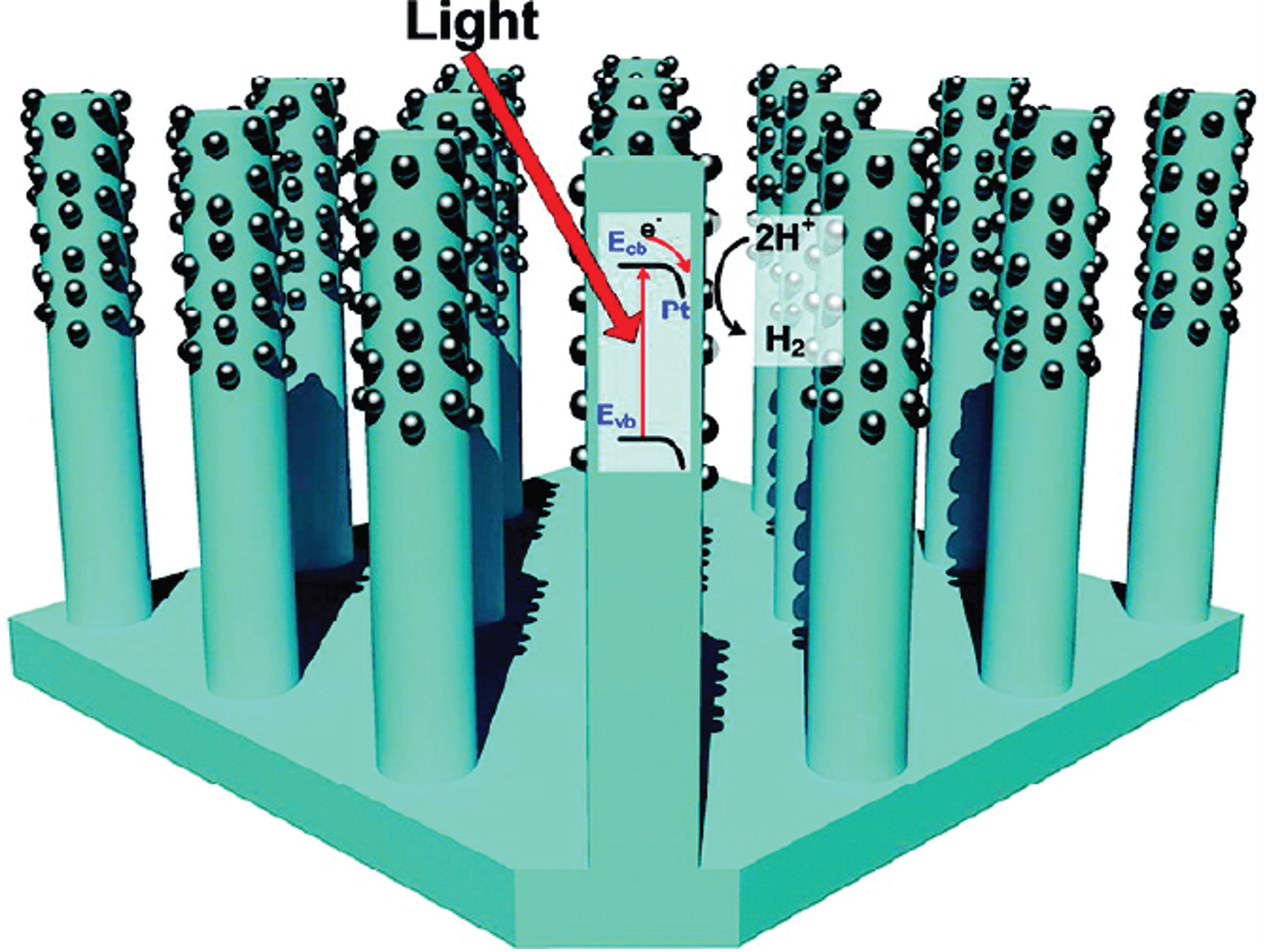 An illustration depicts nanorods arranged upright on a square base. Each rod has small dark spheres on its surface. A red arrow labeled "Light" points to a rod labeled with energy levels (E_{text{cb}}, E_{text{vb}}) and includes a reaction showing (2H^+) converting to (H_2).