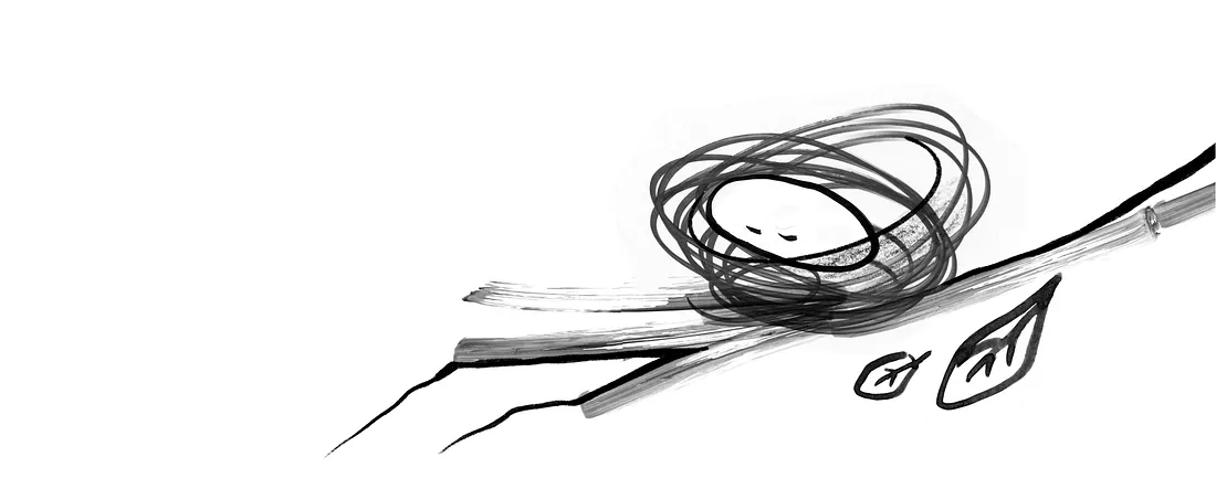 A black and white abstract drawing shows a circular, scribbled figure on a branch, with two leaf-like shapes nearby. Lines and shading create a sense of motion and simplicity.