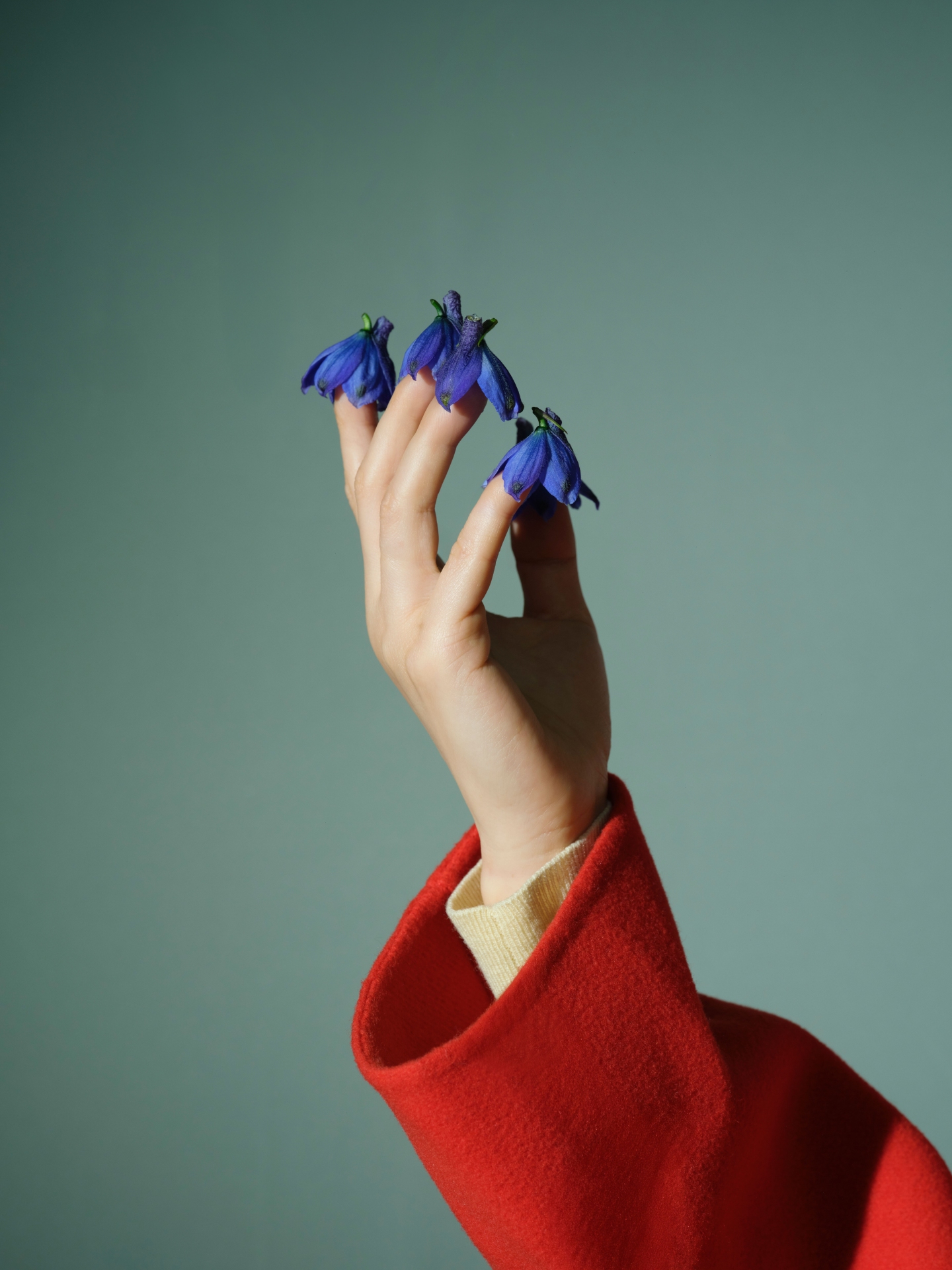 A hand wearing a red sleeve is held up against a greenish background, with blue flowers placed on the tips of four fingers.