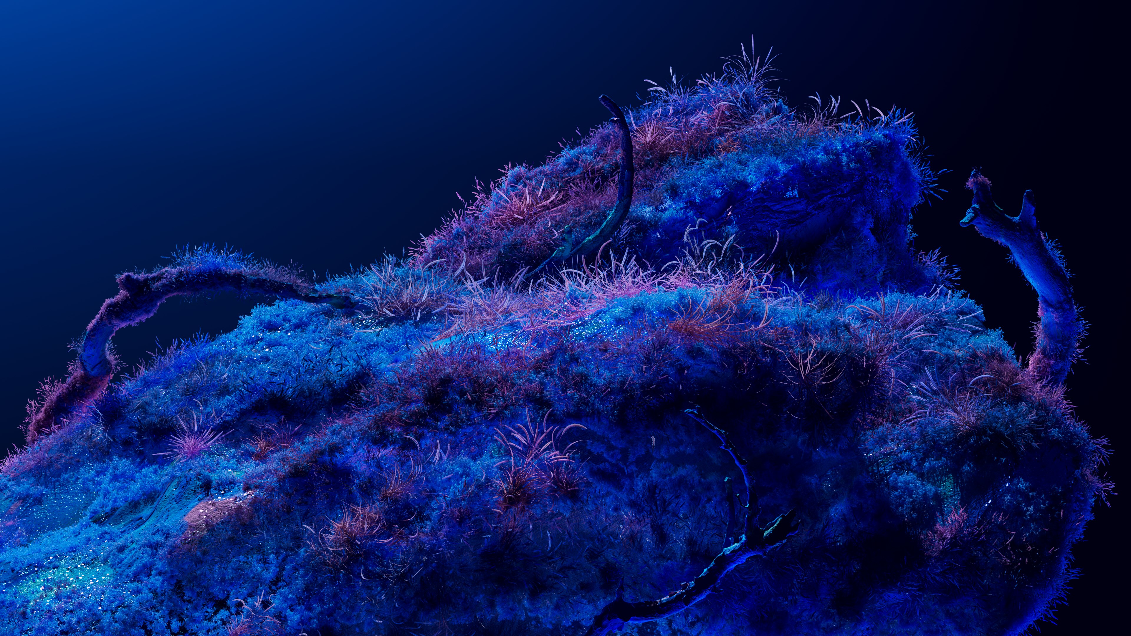 A vibrant underwater scene features a large rock covered in glowing blue and pink coral, sea anemones, and marine plants, set against a dark blue ocean background.